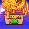 Dragon Hero